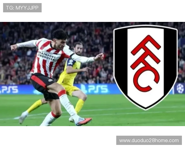 富勒姆俱乐部宣布新赛季阵容调整 引进多名强援提升竞争力